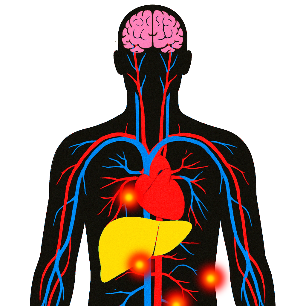 hs-CRP and Homocysteine Panel | Circulatory System Health and Inflammation | Ulta Lab Tests