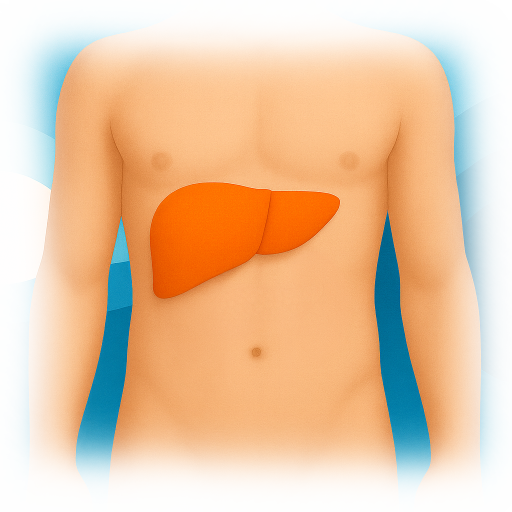 Iron and Total Iron Binding Capacity Test | Blood Health | Ulta Lab Tests