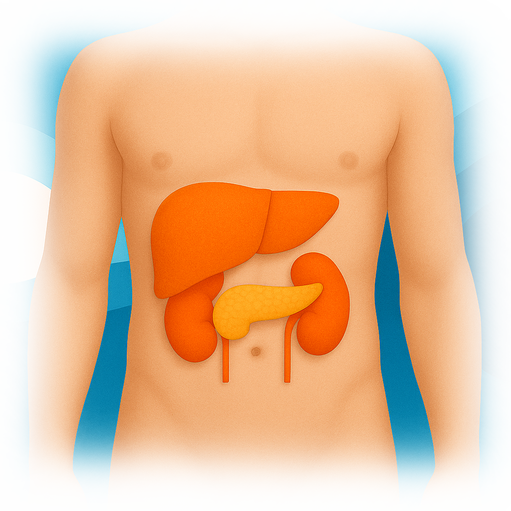Comprehensive Metabolic Panel | Liver and Kidney Health | Diabetes Health | Ulta Lab Tests