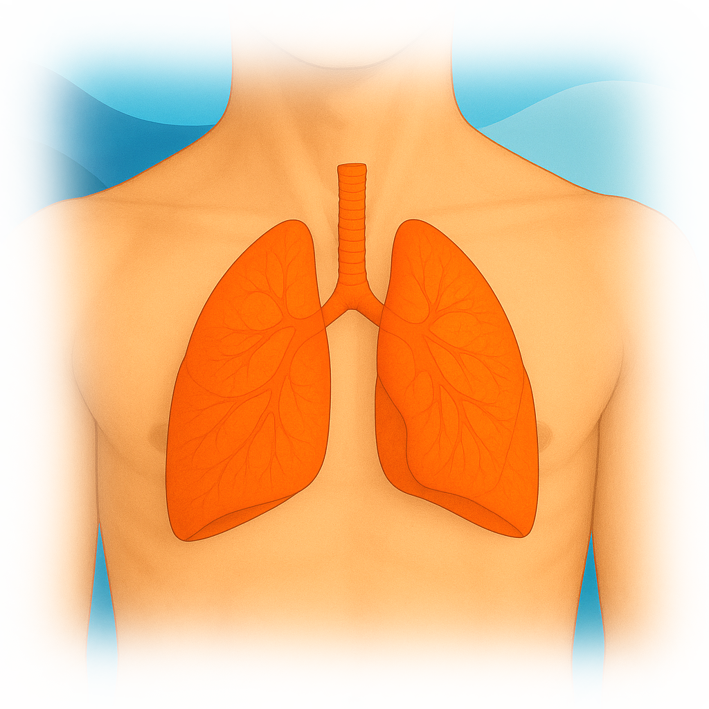 Quantiferon TB Test | Pulmonary Health | Lung Health | Ulta Lab Tests