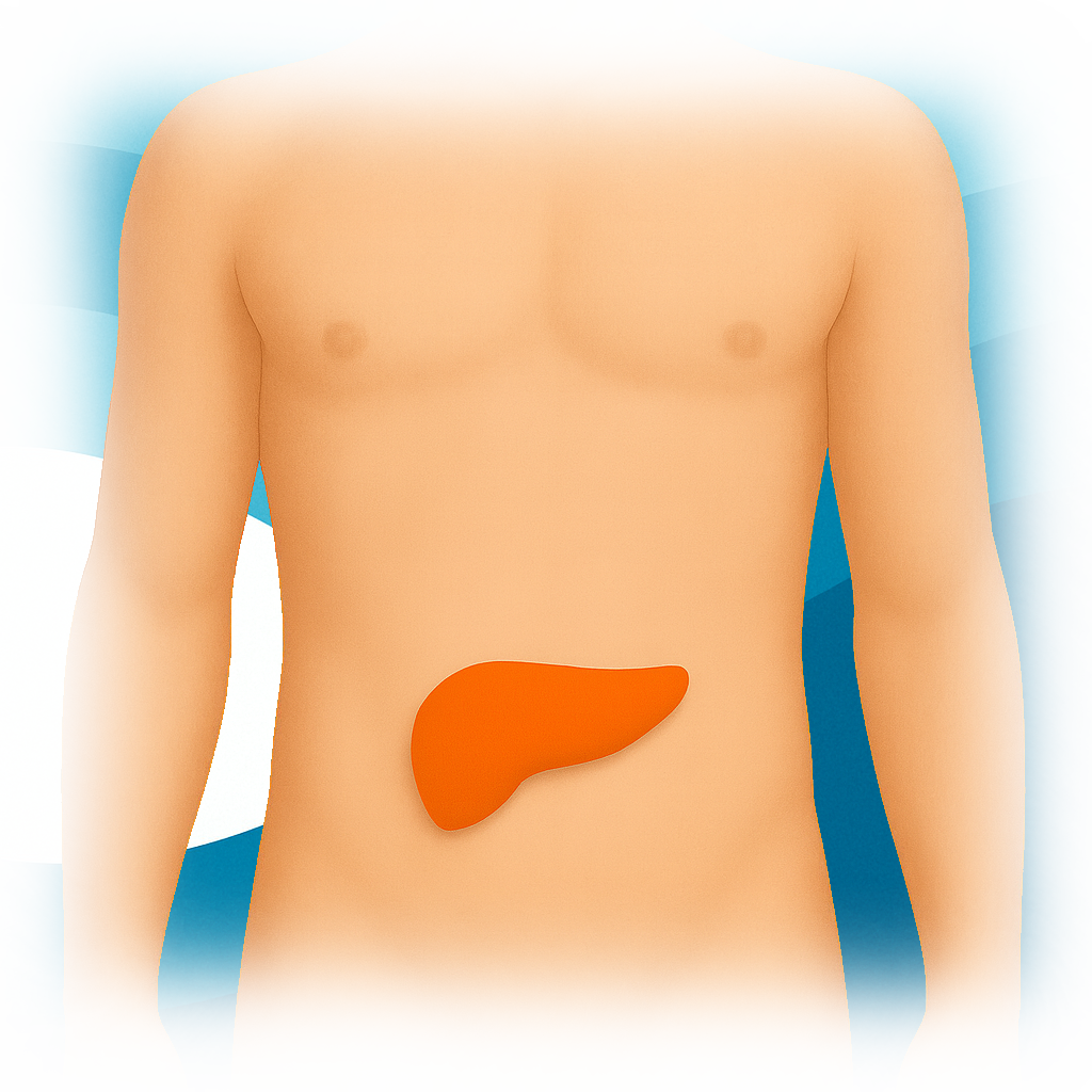 Insulin Test | Diabetes Health | Pancreas Health | Ulta Lab Tests